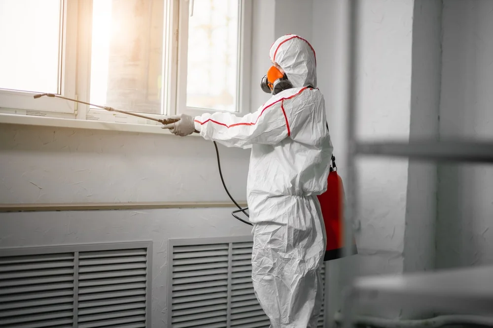 Professional mold remediation services in Hazen, AR
